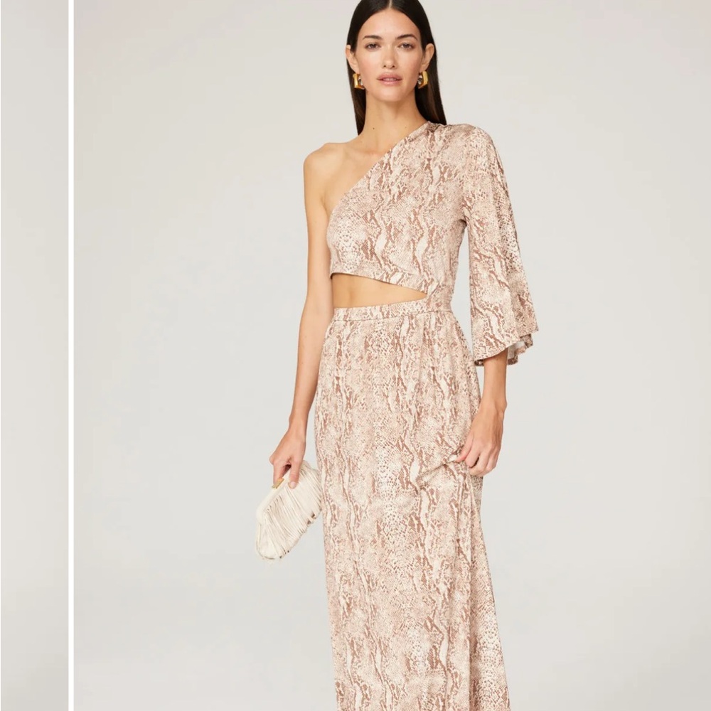 L'AGENCE Brown Snake Print Dress